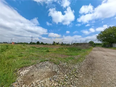 Teren intravilan 1800 mp, de vanzare, Serbanesti - foto 4