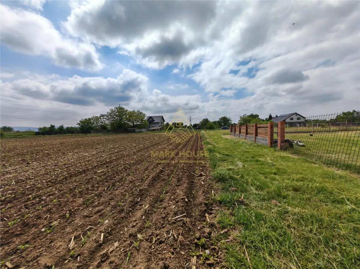 Teren intravilan 1800 mp, de vanzare, Serbanesti - foto 10