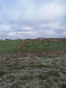 RECO  Teren intravilan- dublu front stradal Nojorid - foto 3