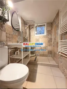 STUDIO DE INCHIRIAT DRISTOR BABA NOVAC - foto 4