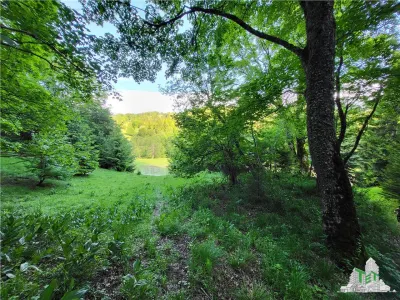Teren Intravilan 12000 mp, Cascada Urlatoarea, proiect aprobat pentru Resort, langa bazin Piscicol. - foto 14