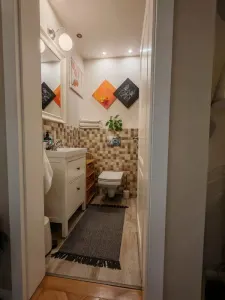 Apartament 3 camere suprafata mare Ultracentral - foto 8