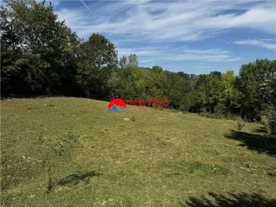 TEREN INTRAVILAN DE VANZARE IN POIANA CAMPINA | 3.526 MP | - Poiana Campina