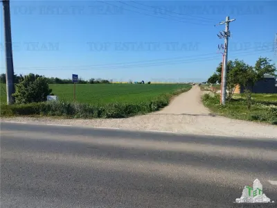 Teren intravilan - vanzare - Calarasi - Frumusani - foto 2