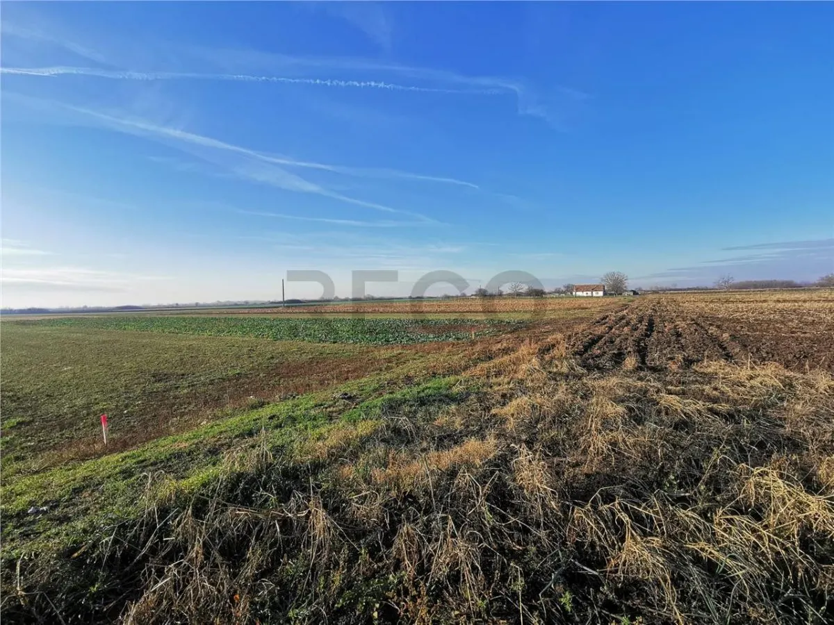RECO Teren intravilan in Bors cu front la 2 strazi. - foto 2
