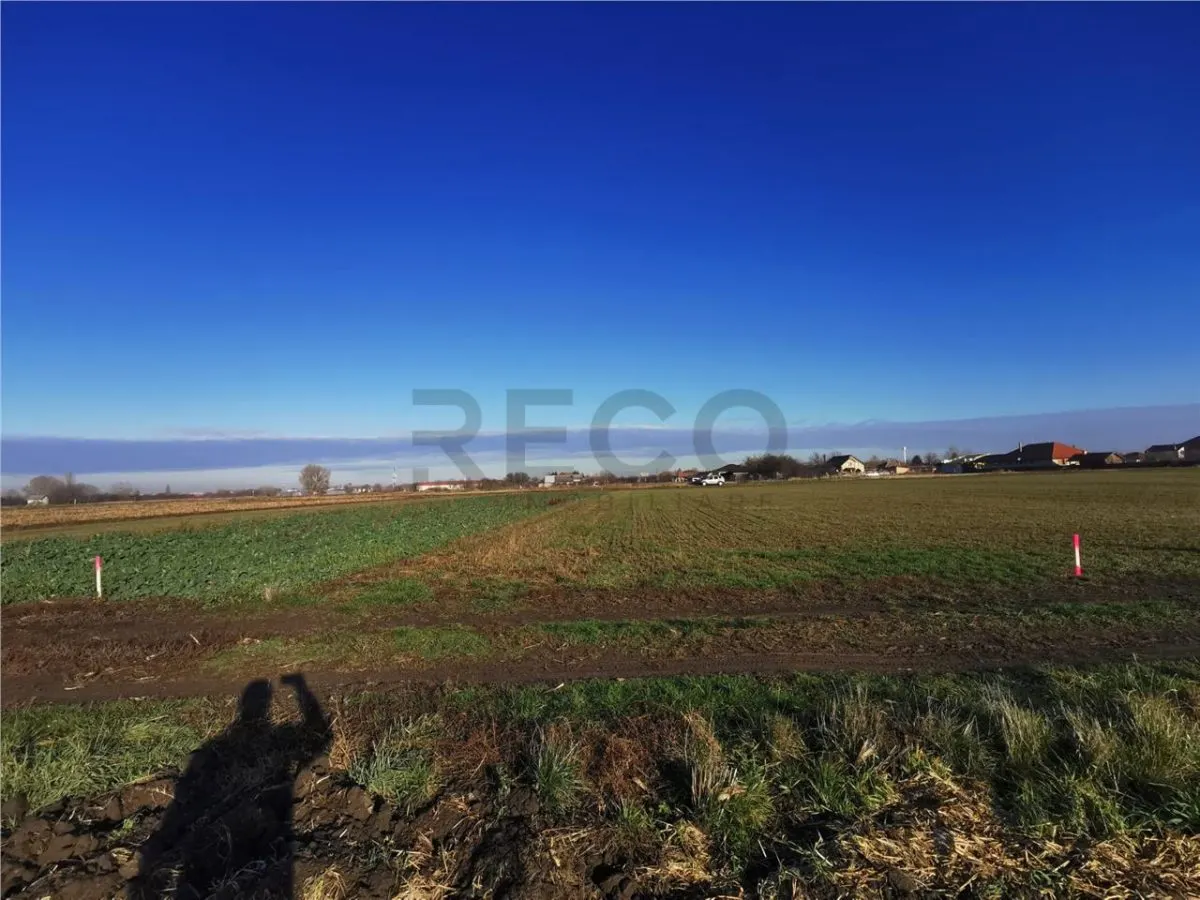 RECO Teren intravilan in Bors cu front la 2 strazi. - foto 5