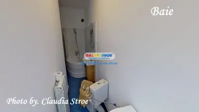 INCHIRIERE APARTAMENT 2 CAMERE UNIRII - foto 18
