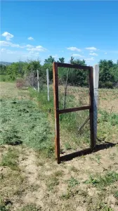RECO Teren intravilan Paleu - foto 2