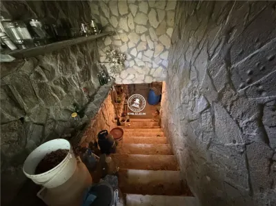 Case vile de vânzare Vișan Iași - foto 12