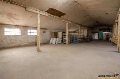 Spatiu comercial+afacere functionala: brutarie,rute de distributie,Ghelinta - foto 12