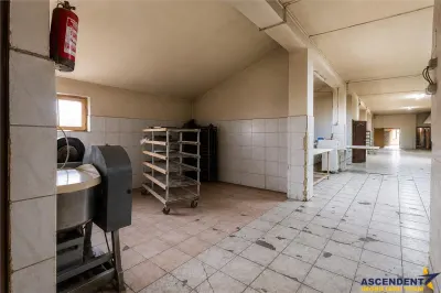 Spatiu comercial+afacere functionala: brutarie,rute de distributie,Ghelinta - foto 13