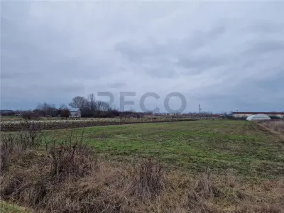 RECO Teren intravilan in Bors cu front mare - foto 5