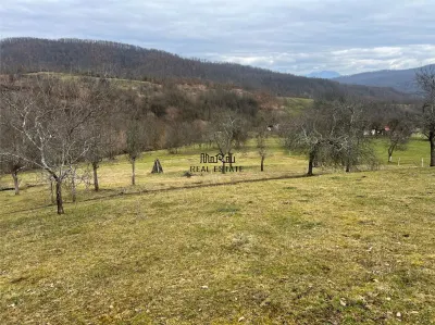 Teren intravilan si extravilan Luncoiu de Jos - foto 12