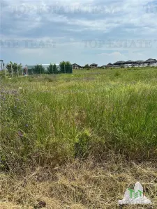 Teren intravilan 500mp in Magurele-granita sector 5 - Magurele
