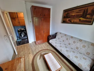 Apartament 2 camere zona ITC Vlahuta - foto 4