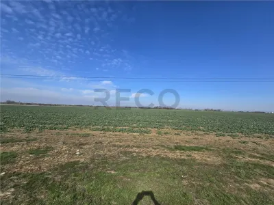 RECO Teren in Nojorid - foto 3