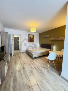 Garsoniera IANCULUI - foto 1