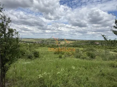 TEREN INTRAVILAN  | 1.824 MP  | DEALURI  | ORADEA - Oradea