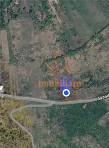 TEREN INTRAVILAN  | 1.824 MP  | DEALURI  | ORADEA - foto 4