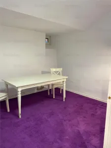 Apartament tip duplex Hochparterre+Demisol | Dorobanti - Capitale | - foto 9