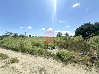 Teren Intravilan 1700 mp - Localitatea Amzacea - foto 4