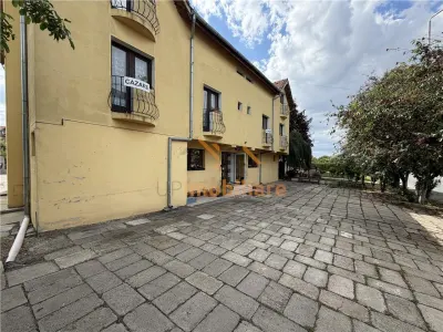 PENSIUNE 20 CAMERE | ZONA SANMARTIN | BIHOR | ACCES DIN E79 - foto 22