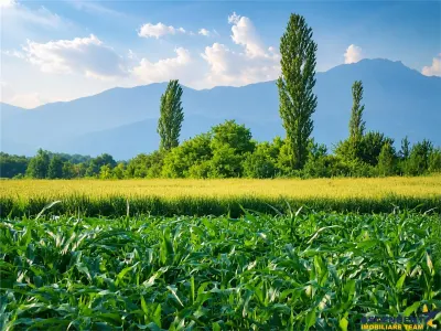 Teren intravilan 10.000 mp, parcelabil, plan, acces asfaltat, Bod, Brasov - Colonia Bod
