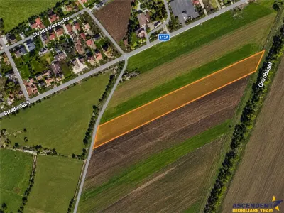 Teren intravilan 10.000 mp, parcelabil, plan, acces asfaltat, Bod, Brasov - foto 2