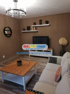 Apartament 2 camere Domenii/mobilat/utilat/parter - Bucuresti
