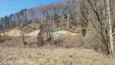 Ocazie Teren , Timisul de jos - foto 5