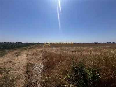 Oportunitate de investitie – Teren extravilan 6.480 mp, cu dubla deschidere, situat la DN1 - foto 15