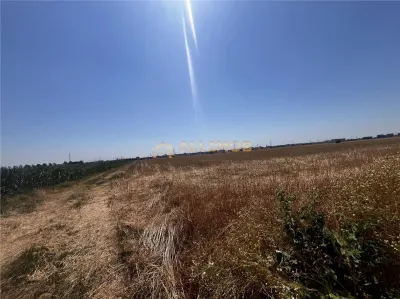 Oportunitate de investitie – Teren extravilan 6.480 mp, cu dubla deschidere, situat la DN1 - foto 18