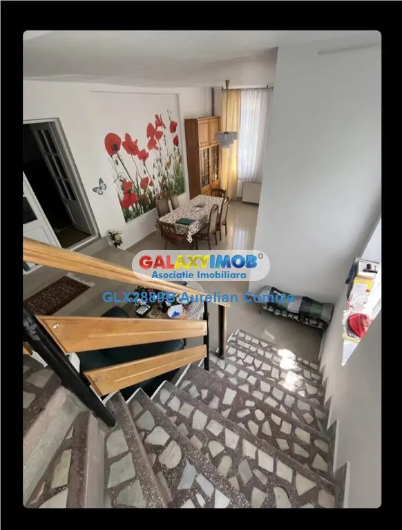 Vanzare casa superba 10 camere Olanesti-Vladuceni - foto 8