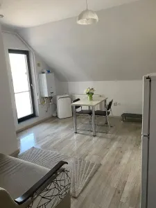 Apartament modern cu 2 camere - Central, zona Palas - foto 2