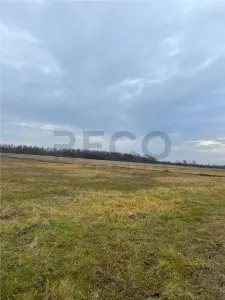 RECO Teren intravilan cu PUZ, la 4 minute de oras ,720 mp,Paleu - foto 3