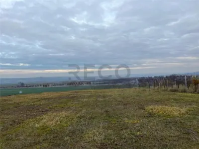 RECO Teren intravilan cu PUZ, la 4 minute de oras ,720 mp,Paleu - foto 5