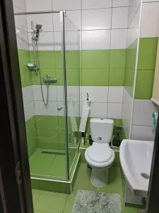 Apartament 4 camere decomandat etajul 2, Astra- Carpatilor - foto 8