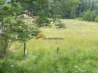 Teren pentru casa de vacanta/pensiune - Cheia - Maneciu - foto 6