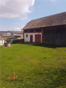Casa de vanzare, Voiniceni, 10 arii, pivnita, 2 bucatarii, spre Unirii, Mures - foto 6
