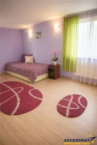 Casa potential:locuire multifamiliala,activitati comerciale,birouri,677 mp teren - foto 11