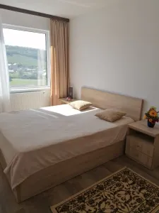 Apartament 2 Camere Alexandru cel Bun - 450 euro - foto 3