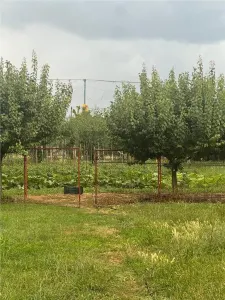 RECO Casa gata de mutat, zona Tileagd, - foto 6