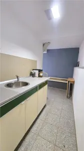 VIDEO | Spatiu servicii - 99 m² | Atelier • Office • Workspace | Central - foto 7