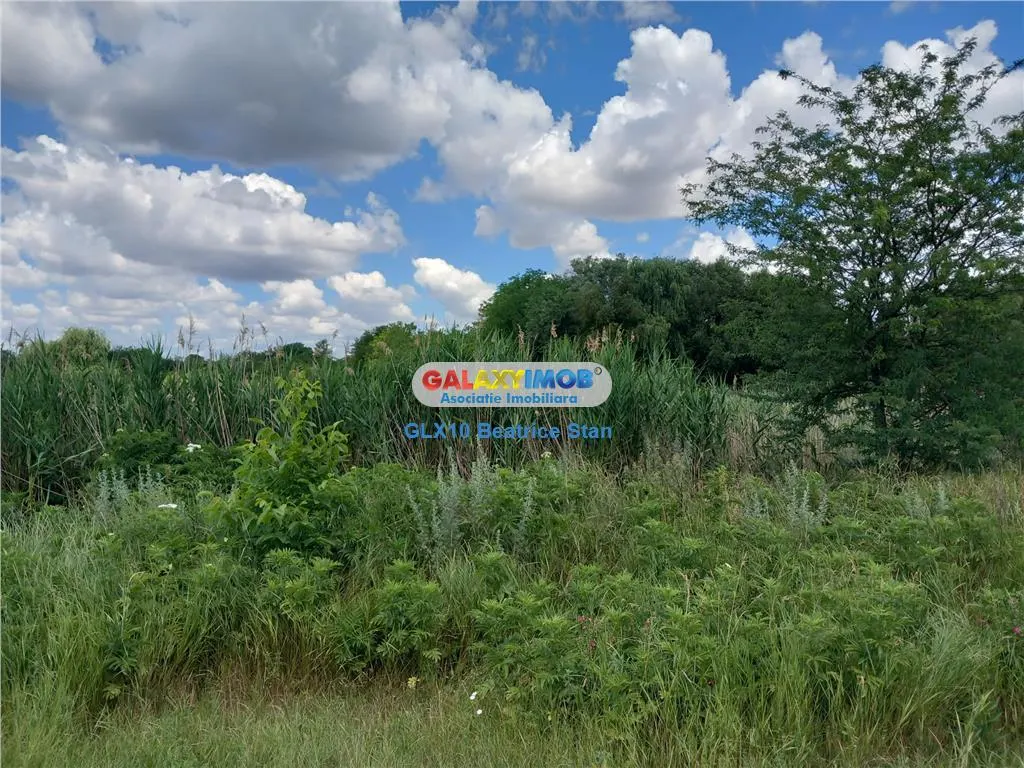 Vanzare loturi teren FUNDULEA / LACUL DARVARI cu mare potential - foto 12