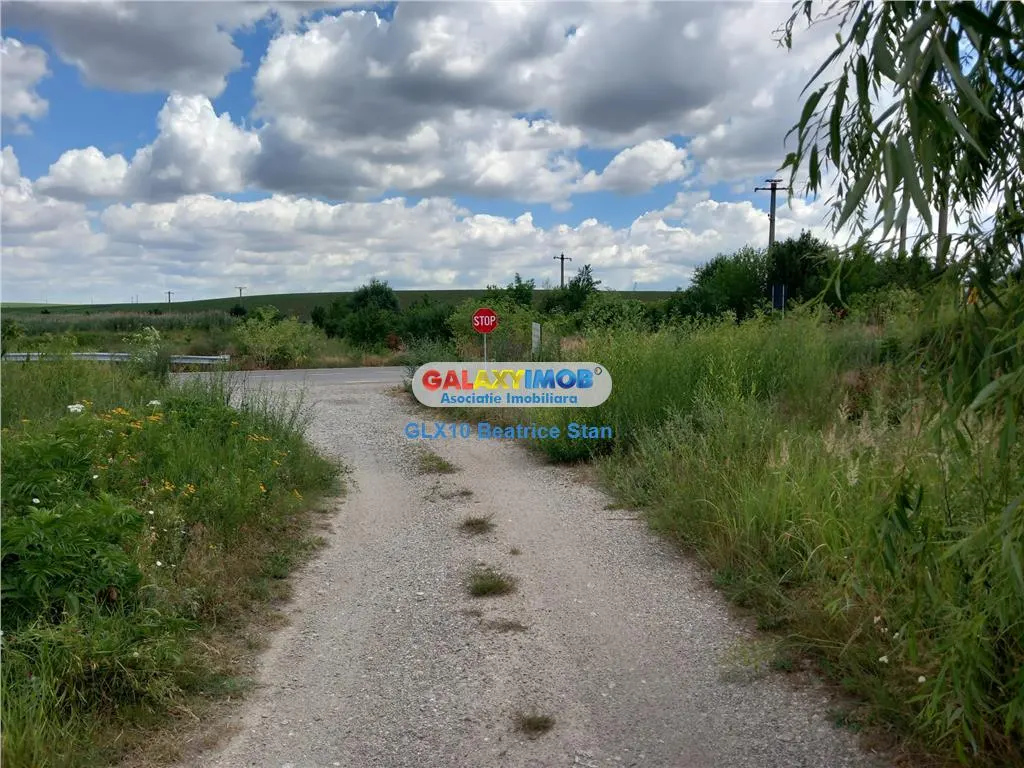 Vanzare loturi teren FUNDULEA / LACUL DARVARI cu mare potential - foto 10
