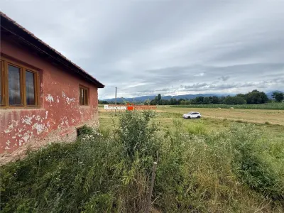 Aproximativ4 ha teren | Casa batraneasca | Beiusele - Bihor - foto 5