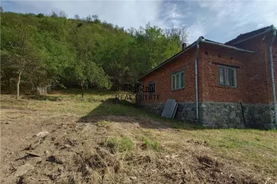 Teren, padure si casa in Dumbrava de Jos, jud. Hunedoara - foto 16