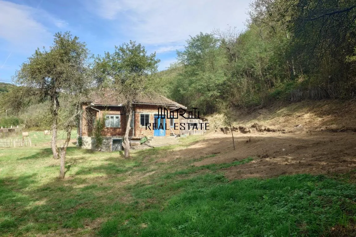 Teren, padure si casa in Dumbrava de Jos, jud. Hunedoara - foto 18