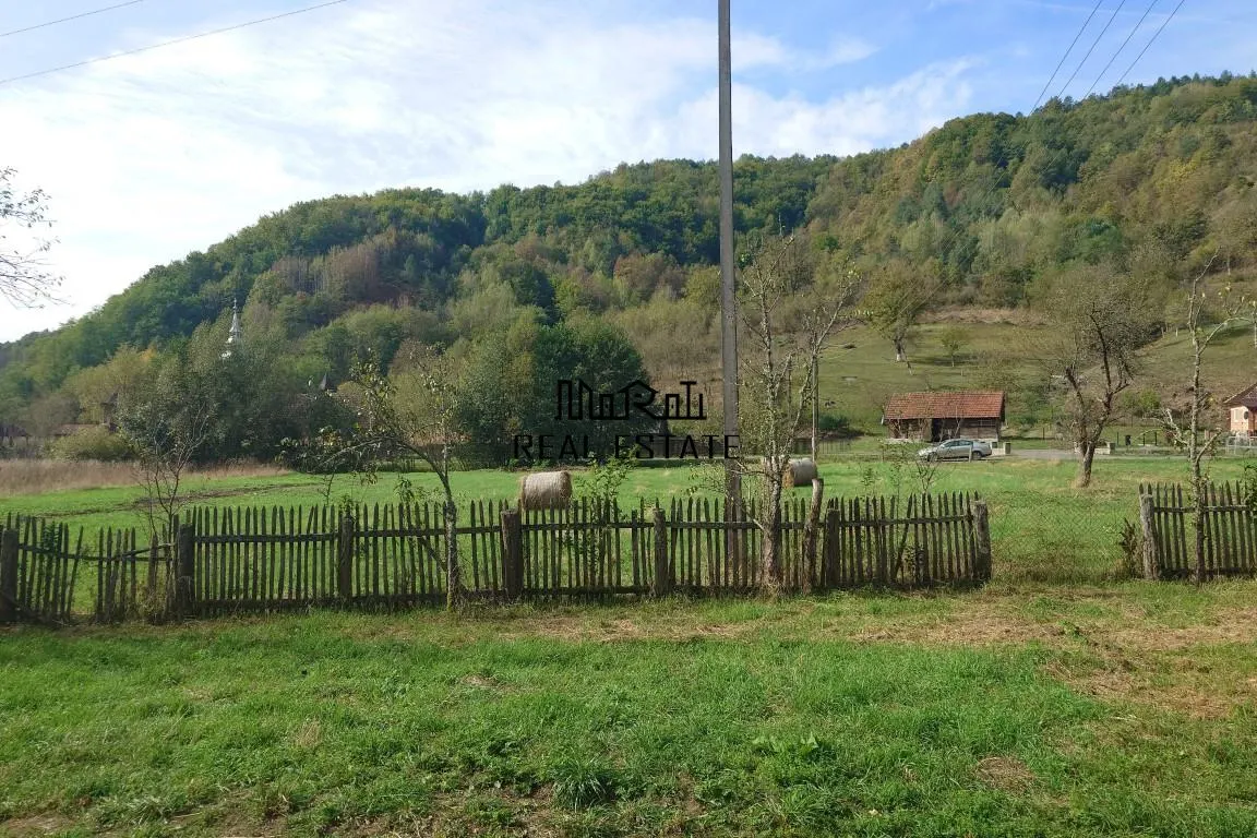 Teren, padure si casa in Dumbrava de Jos, jud. Hunedoara - foto 20