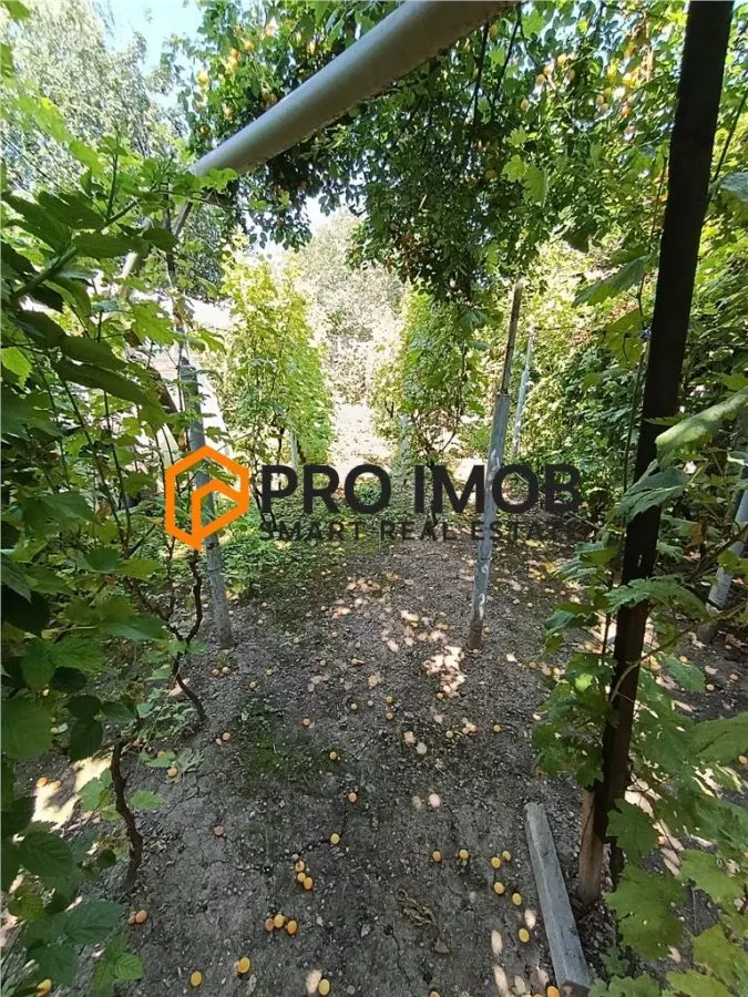 Casa tip parter zona Spiru Haret - foto 14